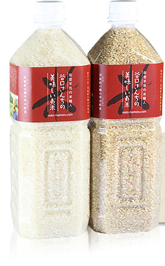 谷口さんちの美味しいお米ペットボトル米